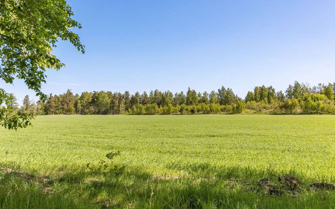 Photo of Others in Tibro