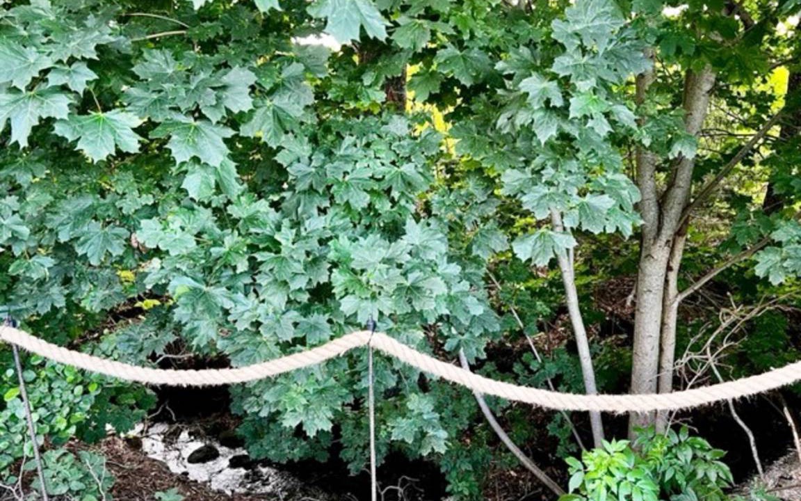 Photo of Outdoor in Eldsberga