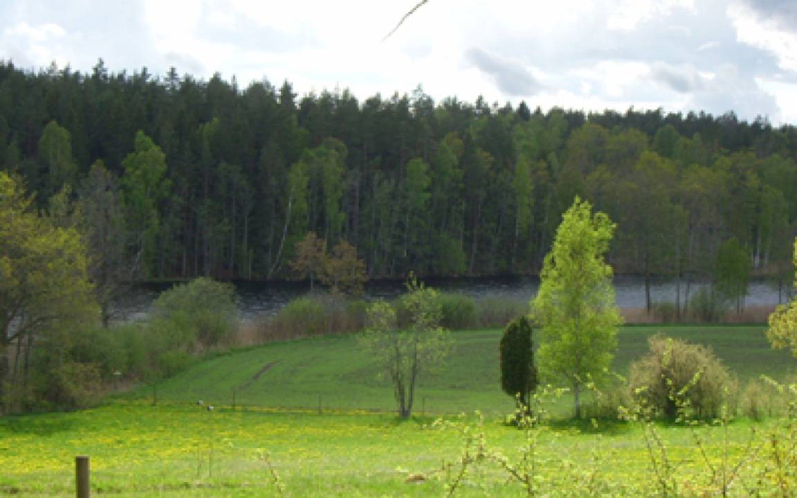 Photo of Others in Oskarshamn