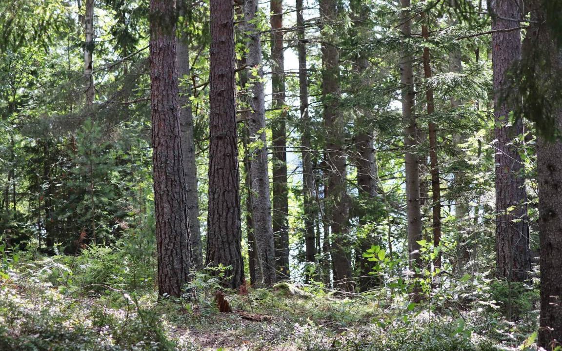Photo of Others in Ostra Amtervik