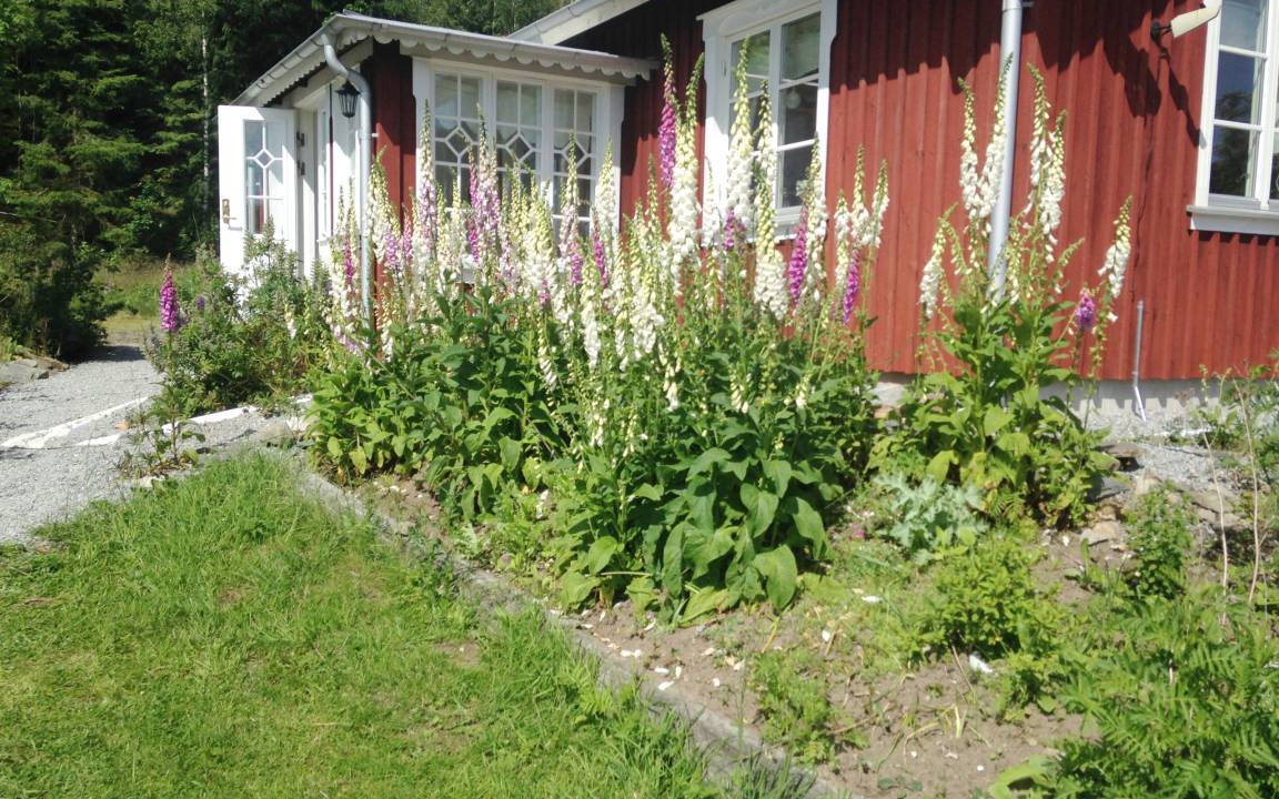 Photo of Others in Varekil