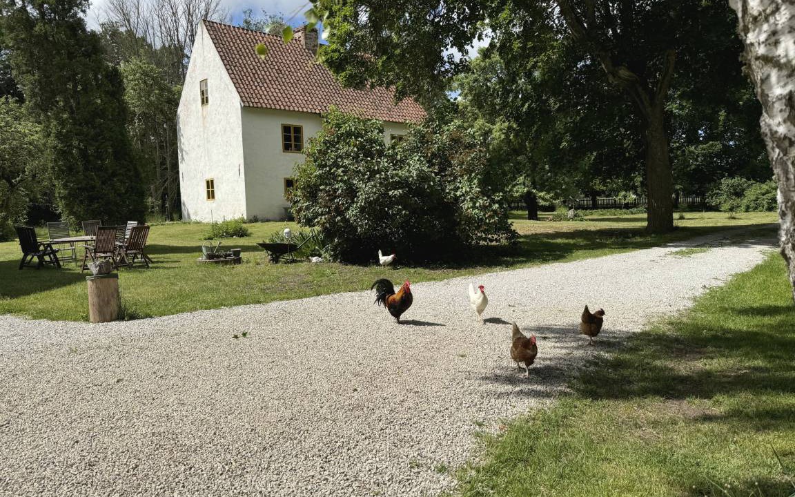 Photo of Others in Romakloster