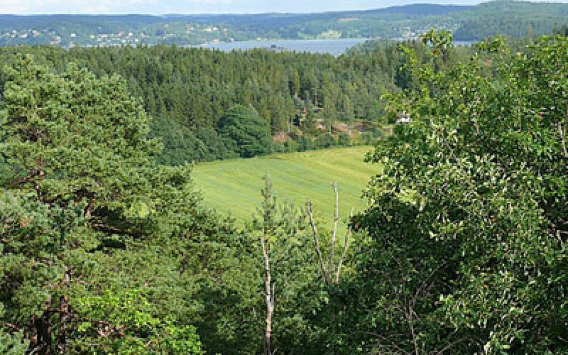 Photo of Outdoor in Stillingson