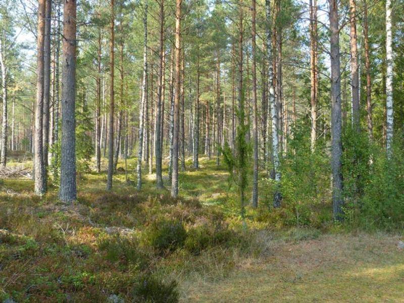 Photo of Others in Vimmerby Municipality