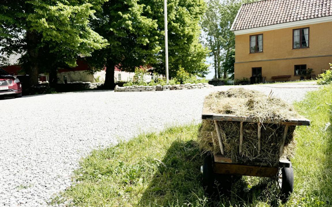 Photo of Others in Romakloster