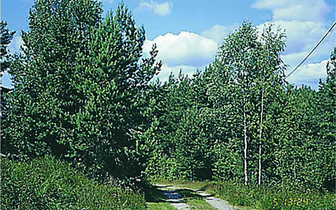 Photo of Others in Kristdala
