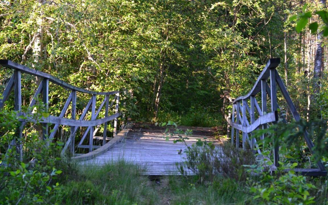 Photo of Others in Hagfors
