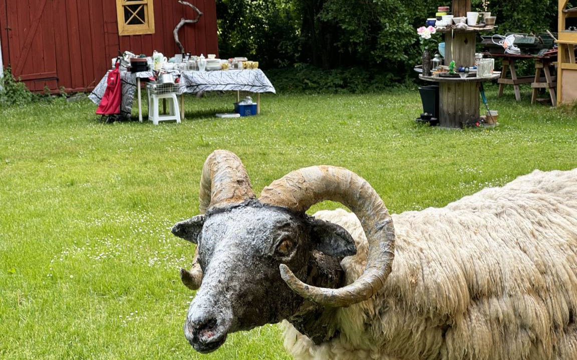 Photo of Others in Romakloster