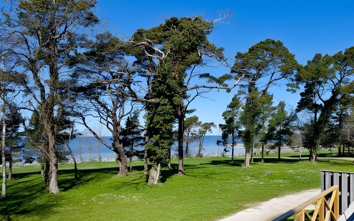 Photo of Others in Visby