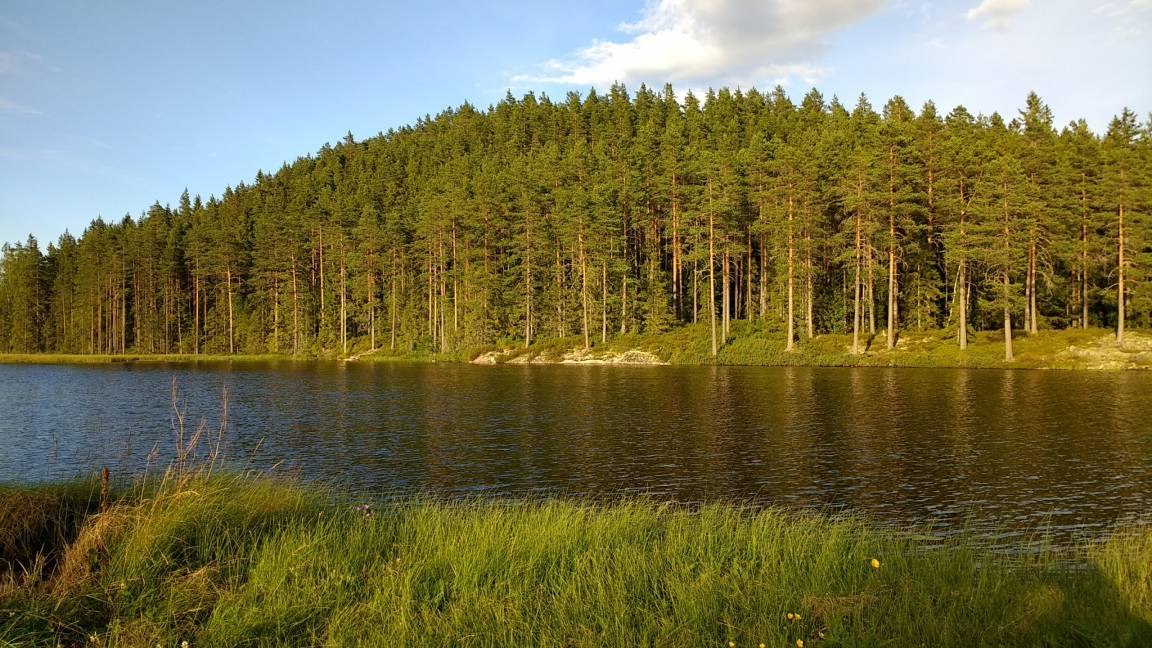 Photo of Others in Kopparberg