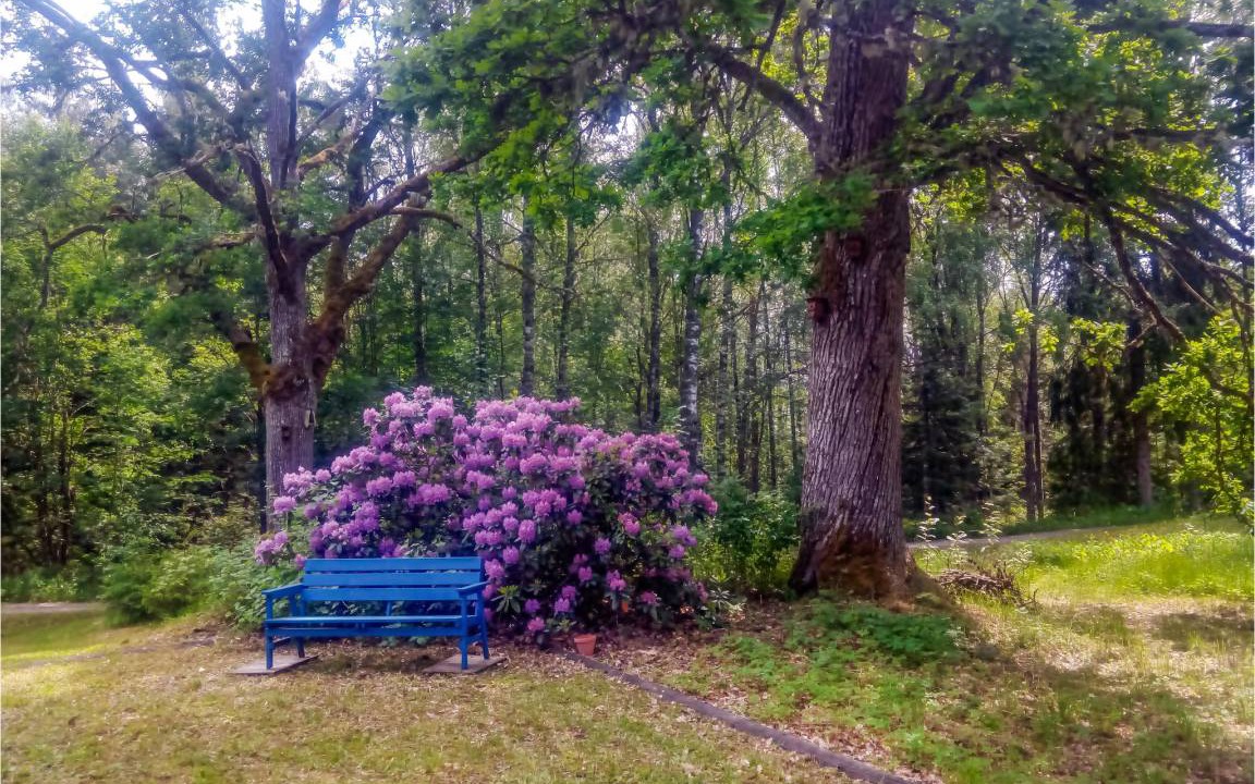 Photo of Others in Filipstad