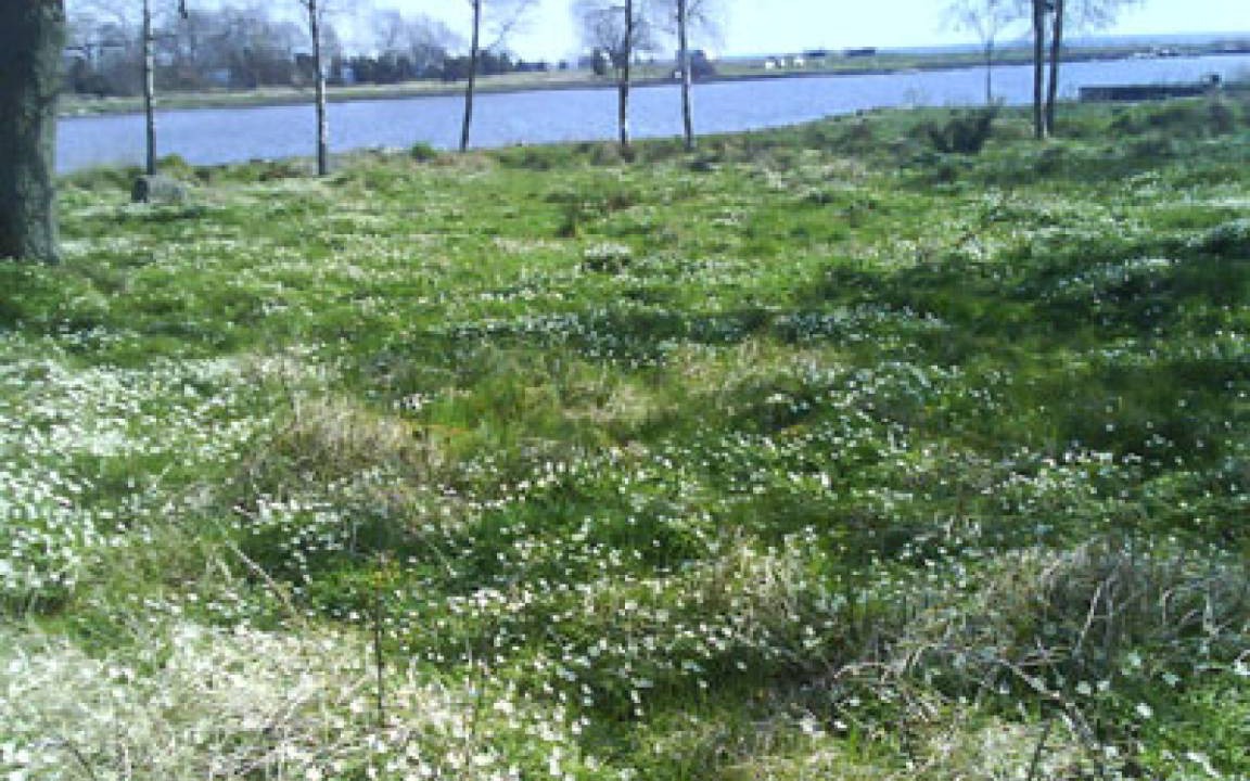 Photo of Outdoor in Orranas