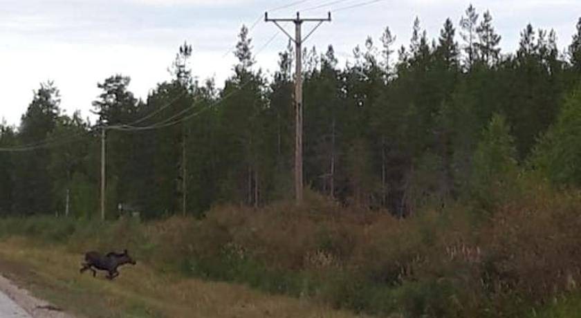 Photo of Others in Hedenaset