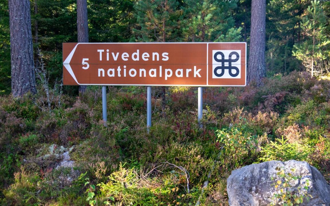 Photo of Others in Tived