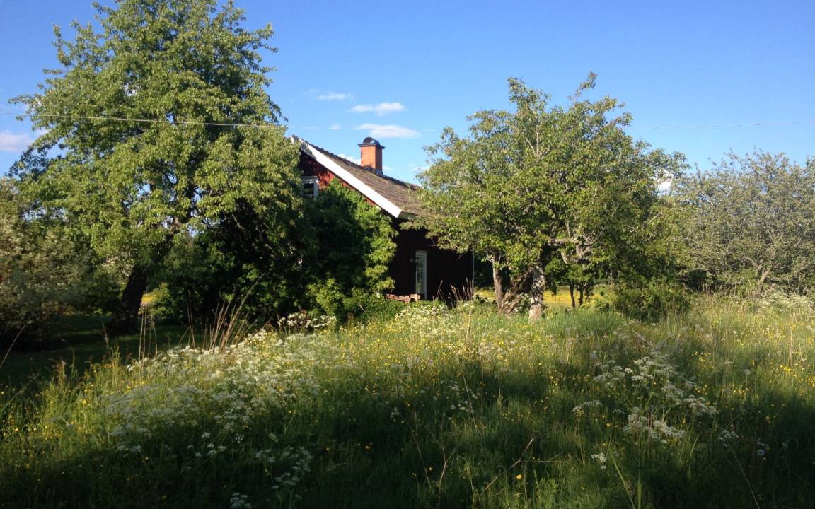 Photo of Outdoor in Vallsjobol
