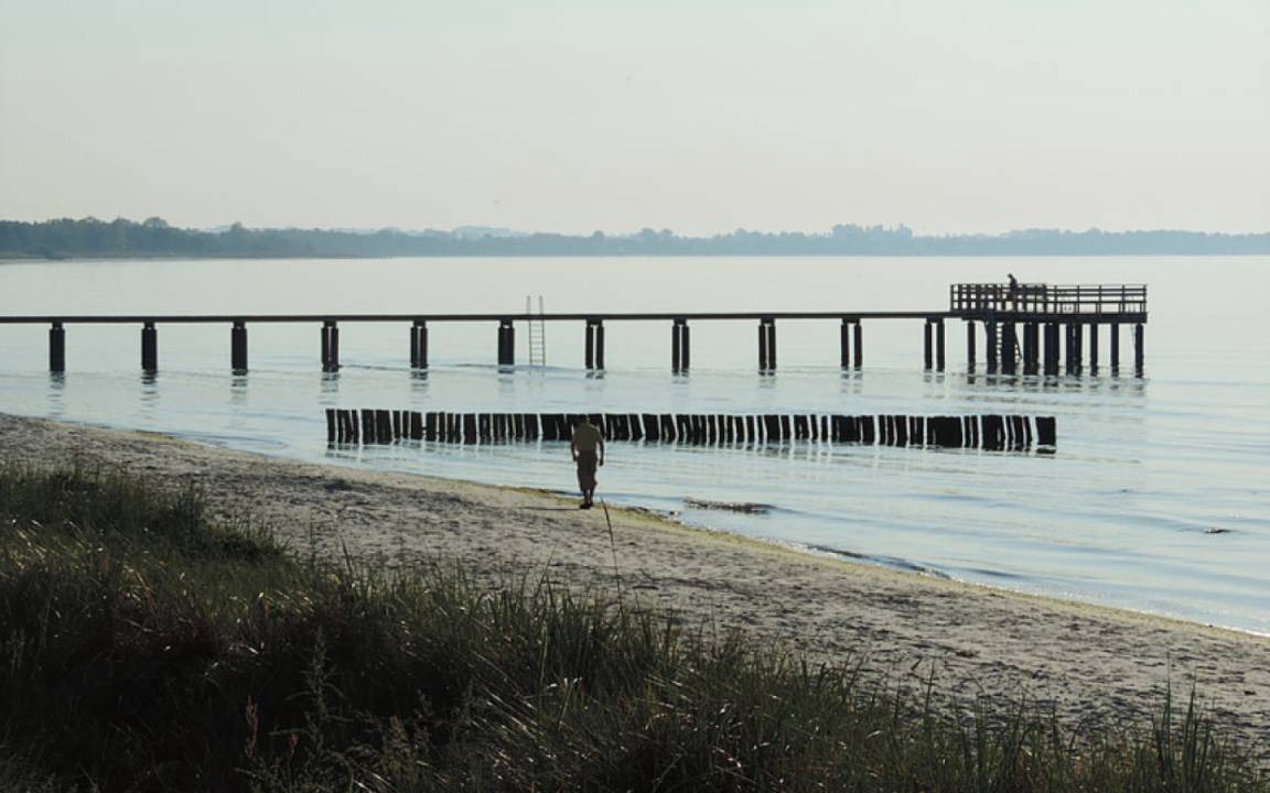 Photo of Others in Beddingestrand