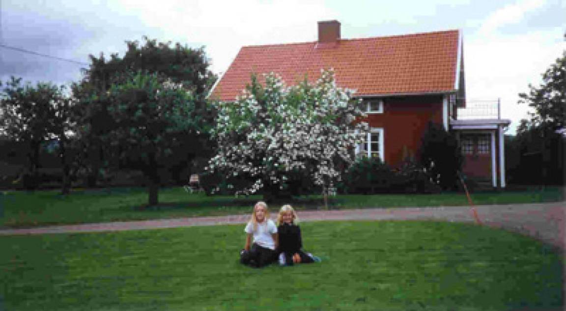 Photo of Others in Mullsjo