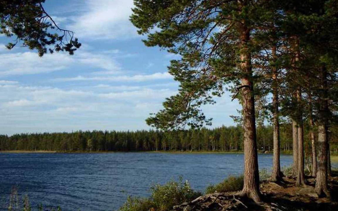 Photo of Others in Umea