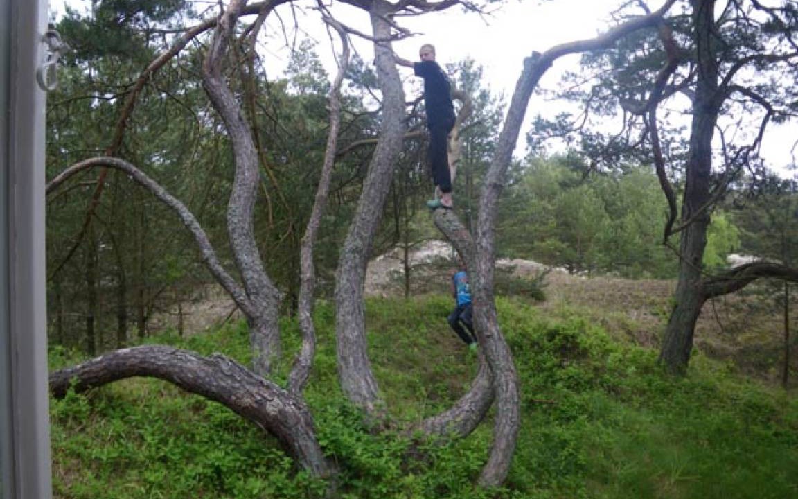 Photo of Others in Malarhusens