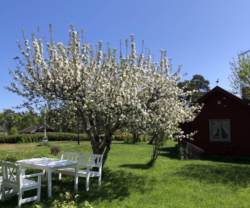 Photo of Buildings in Grisslehamn