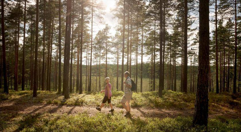 Photo of Others in Galleberg