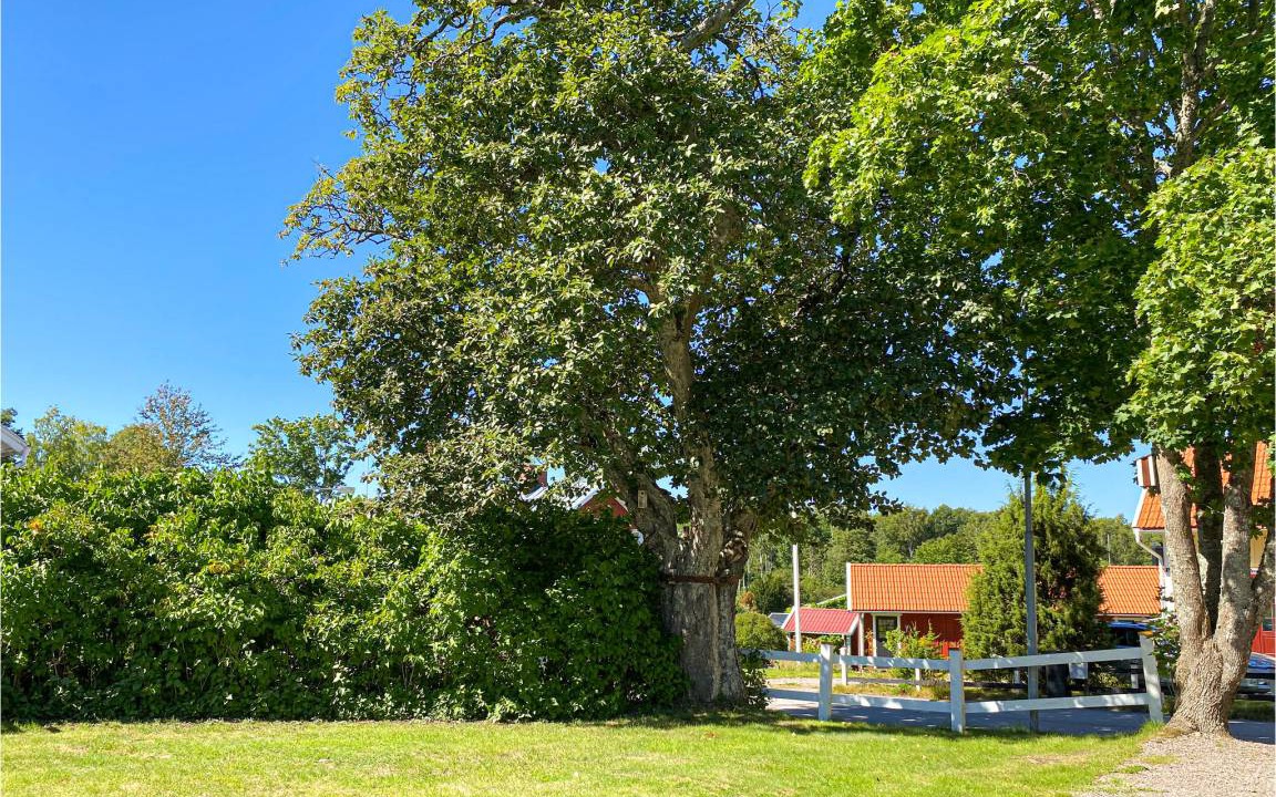 Photo of Others in Sjotorp