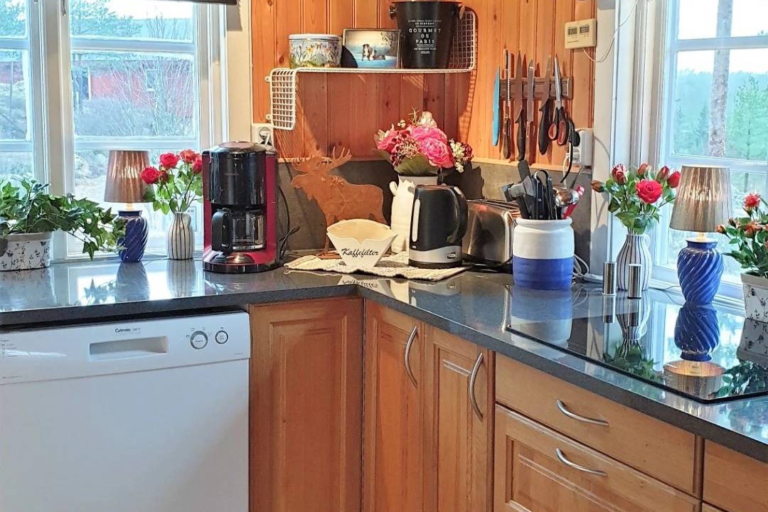 Photo of Kitchen in Backefors