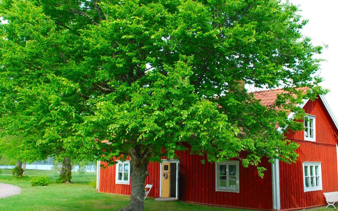 Photo of Others in Osterbymo