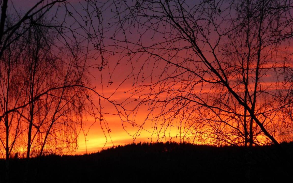 Photo of Others in Letafors