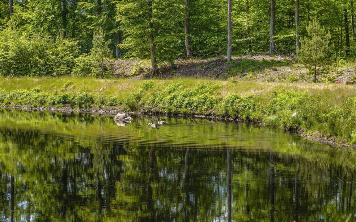 Photo of Others in Olofstrom