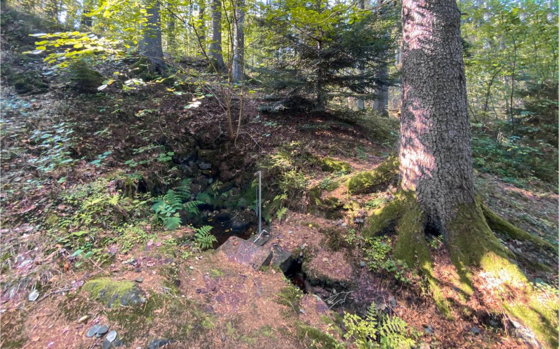 Photo of Others in Nybro