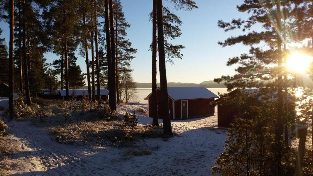 Photo of Others in Dalarna