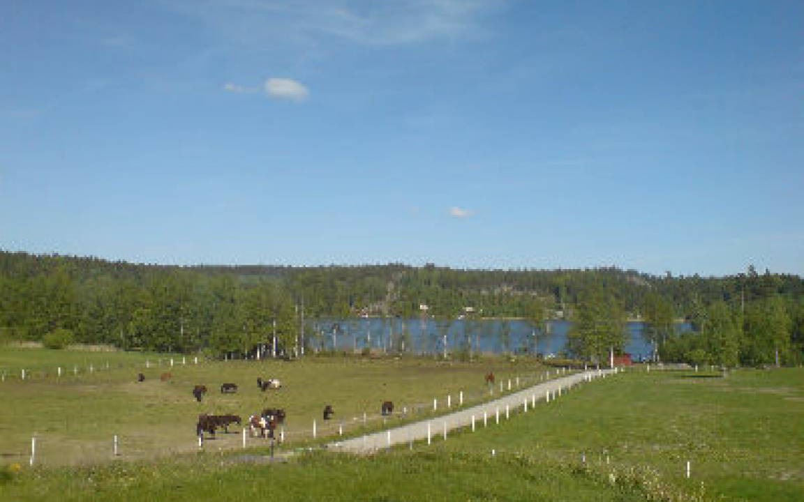 Photo of Others in Molnbo
