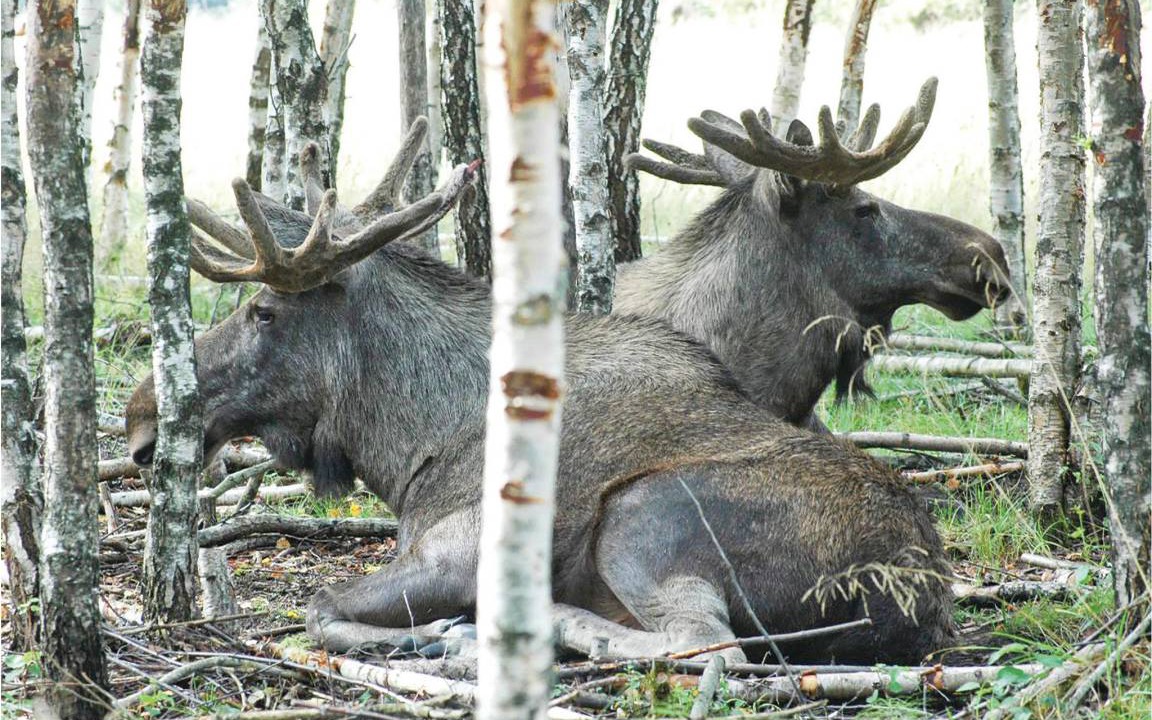 Photo of Others in Stoten