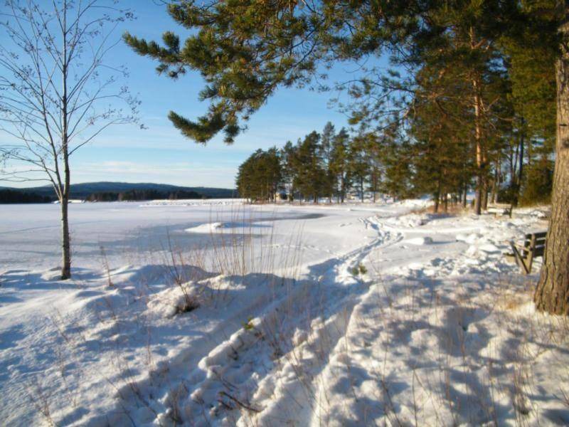 Photo of Others in Dalarna