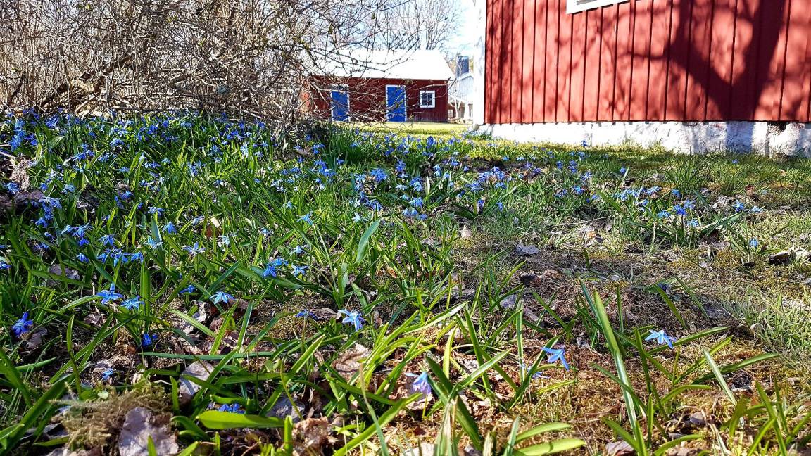 Photo of Outdoor in Klavrestrom