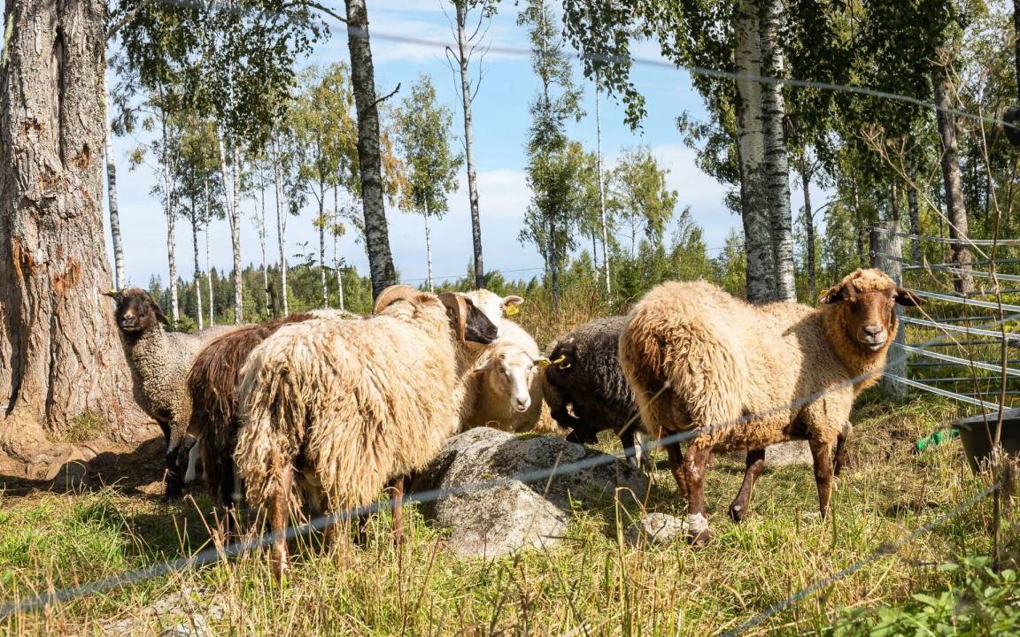 Photo of Others in Filipstad Municipality