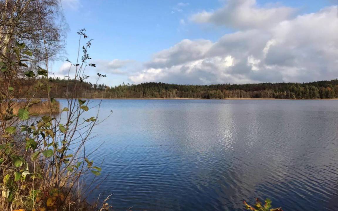 Photo of Others in Ljungskile