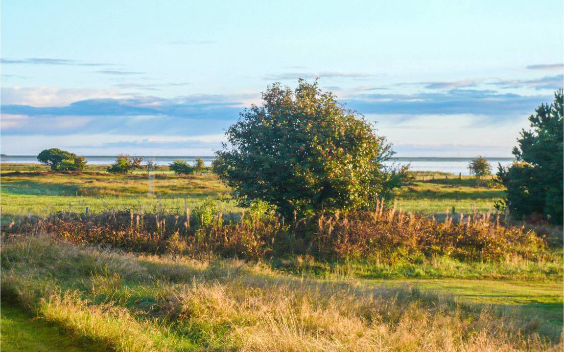 Photo of Others in Trelleborg