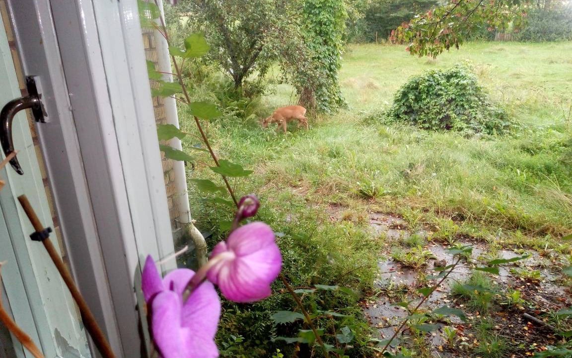 Photo of Others in Ambjorby