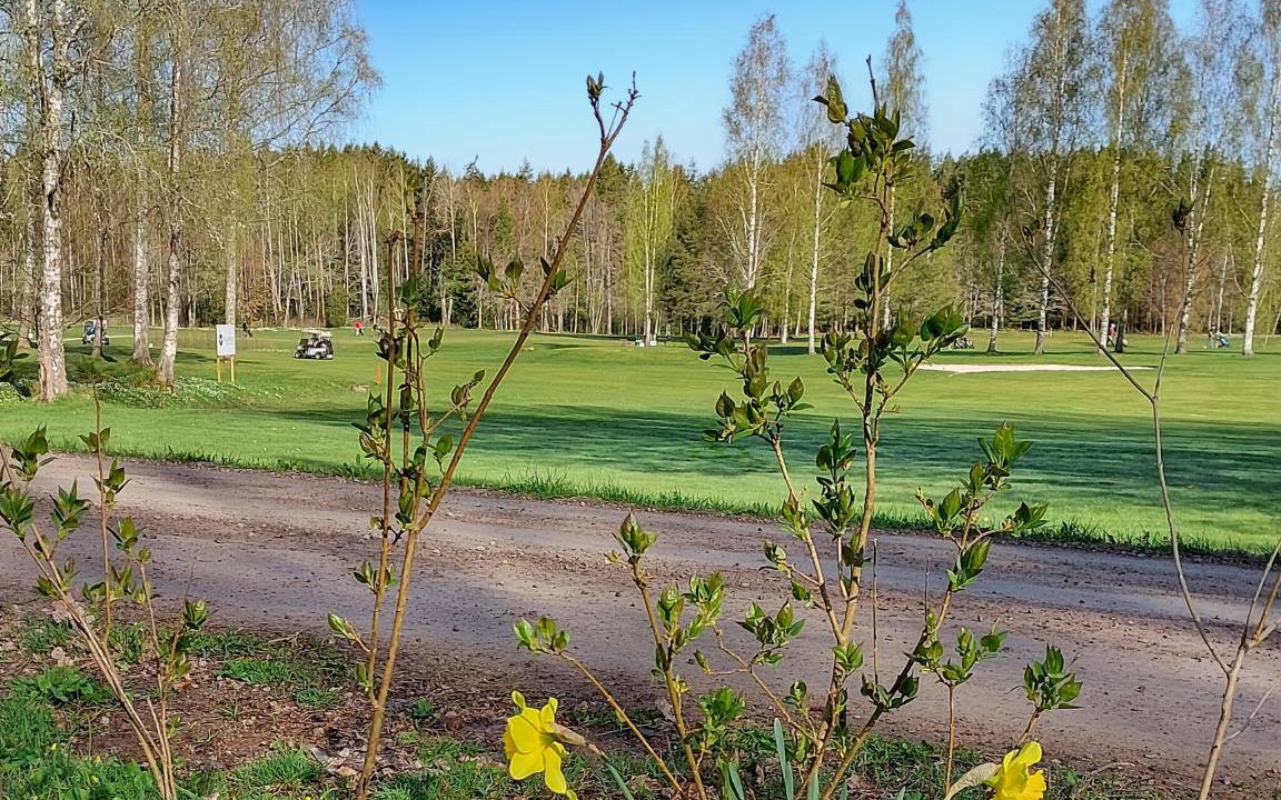 Photo of Outdoor in Mjolby Municipality