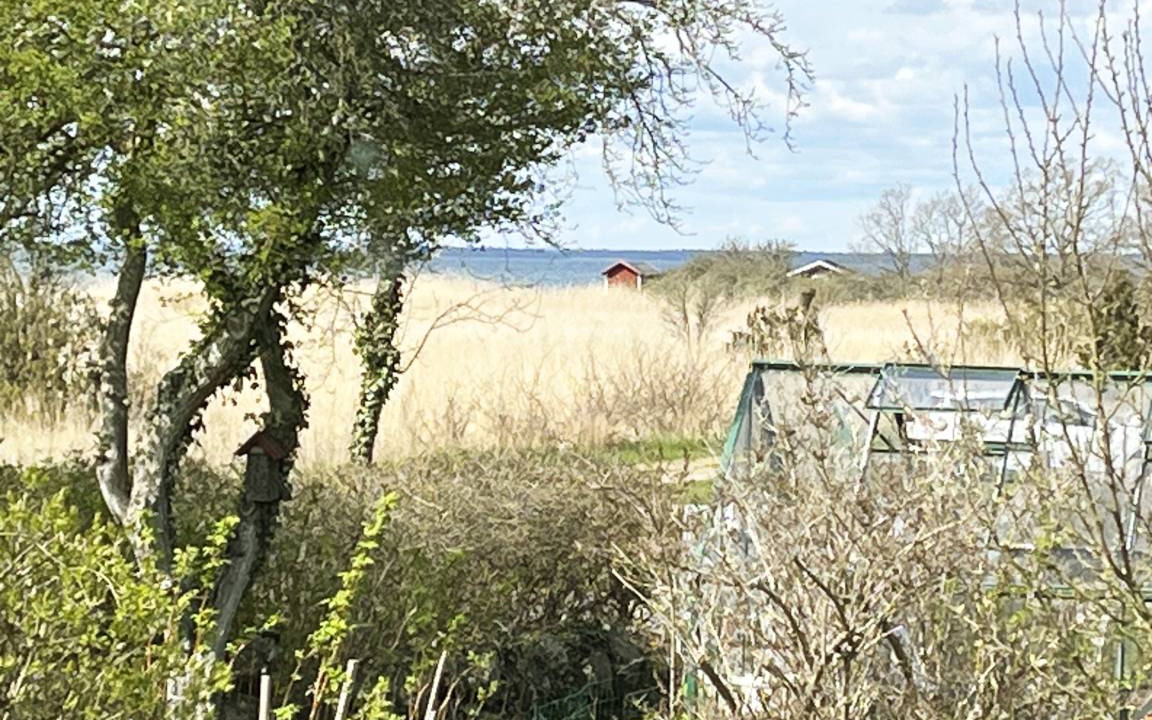 Photo of Others in Farjestaden