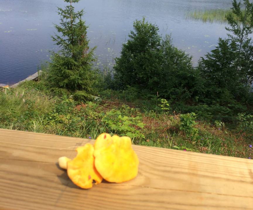 Photo of Others in Morlunda