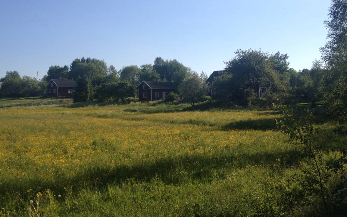 Photo of Outdoor in Vallsjobol