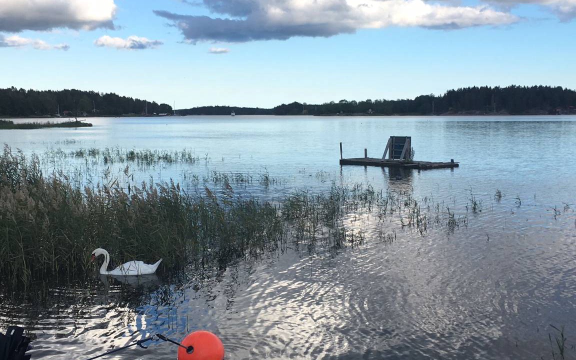 Photo of Others in Sodersvik