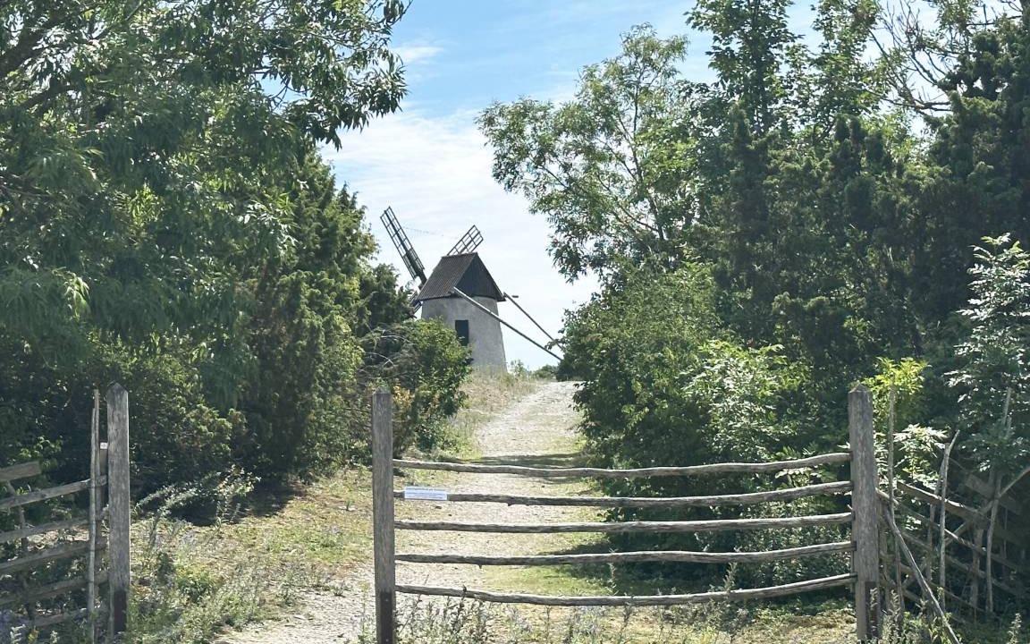 Photo of Others in Larbro