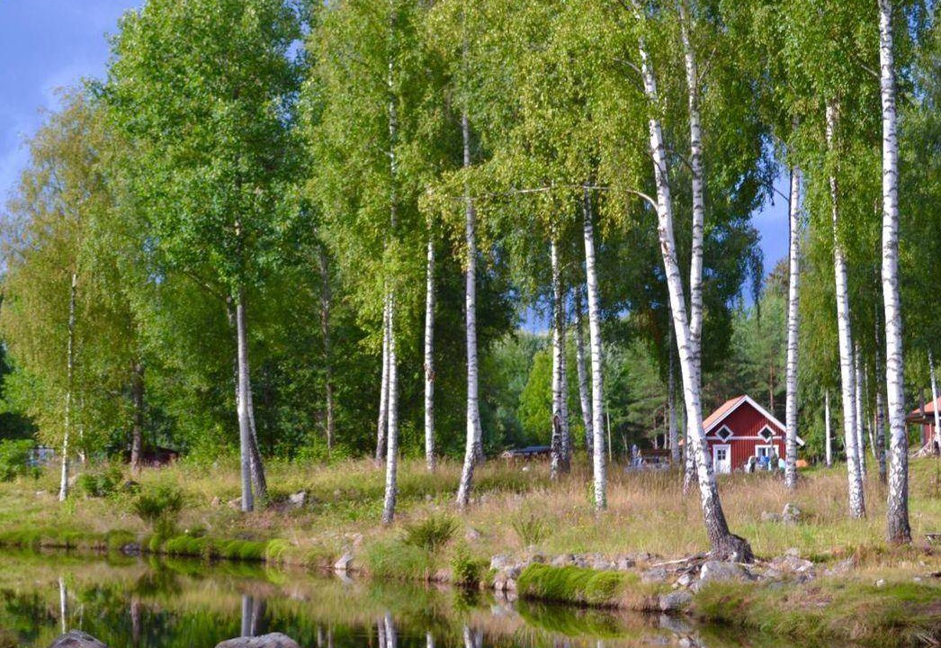 Photo of Others in Norrhult