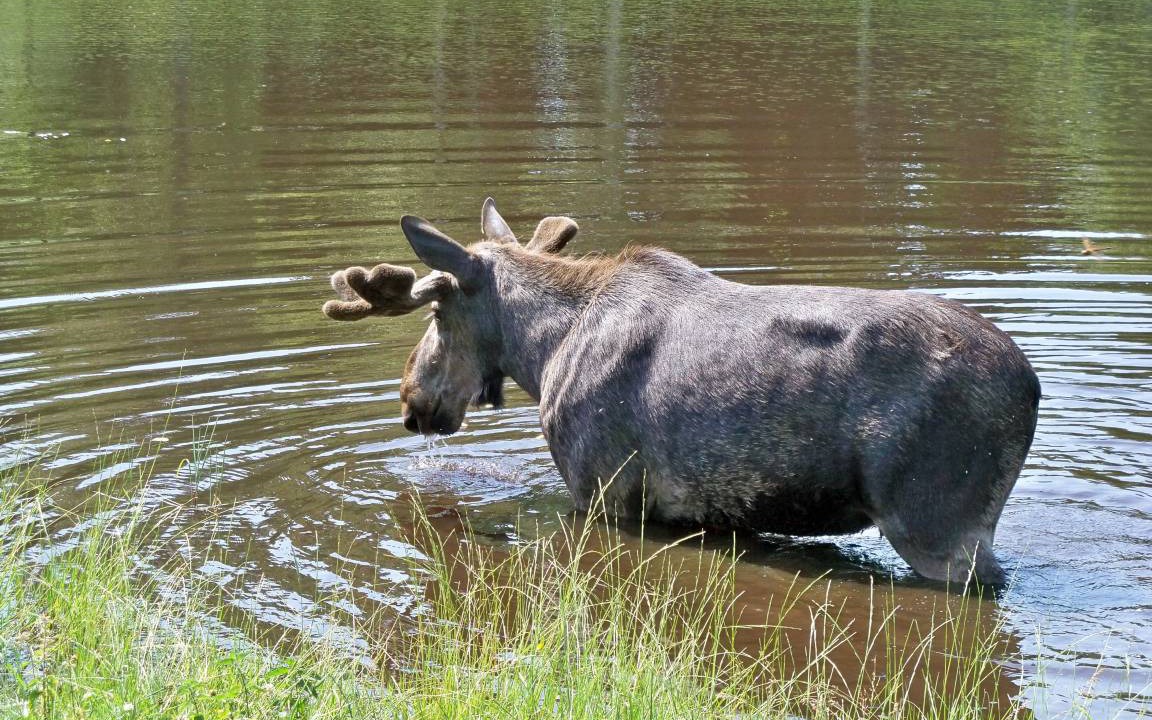 Photo of Others in Rumskulla