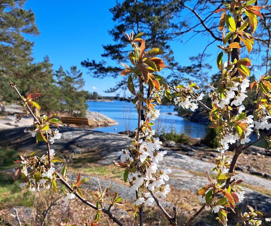 Photo of Others in Fagelfors