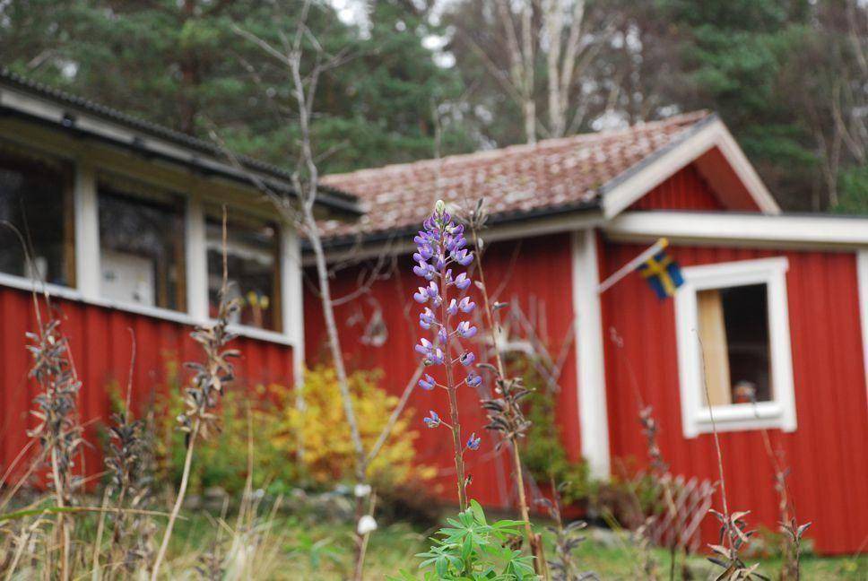 Photo of Others in Svenljunga Municipality